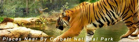 Places To Visit Near By Corbett National Park