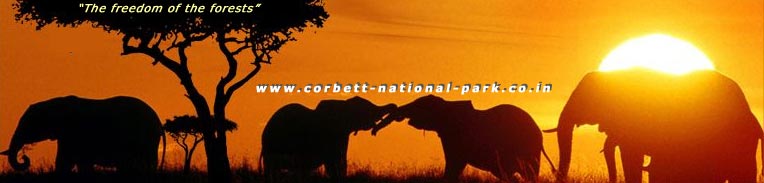 Corbett National Park - Maps